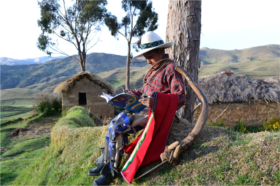Figure from Dynamic Complementarities of Information Interventions and Human Capital in Peru