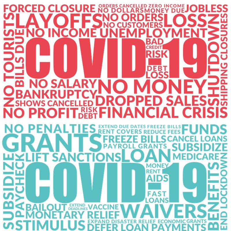COVID-19 International Small Business Study