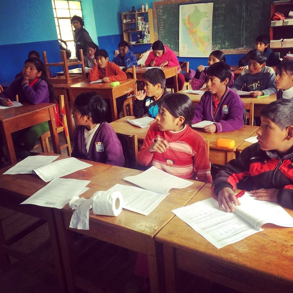 Dynamic Complementarities of Information Provision and Human Capital