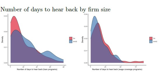 Figure from Small Firms and the Pandemic: Evidence From Latin America